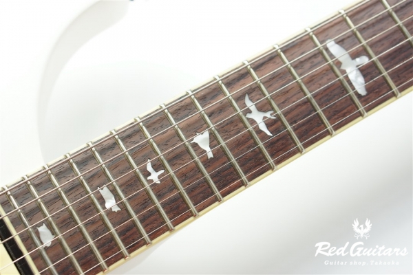 SE Standard 24